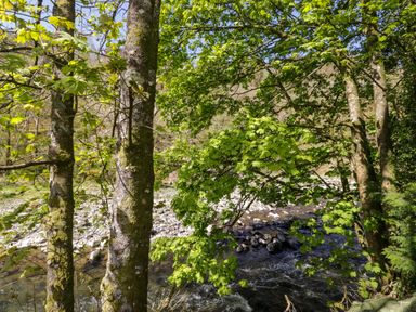 A view of a river framed by trees at Chestnut Timber Lodge in Keswick