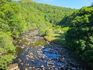 A rocky river flowing through a green valley with dense trees on both sides at Dogwood Timber Lodge in Keswick