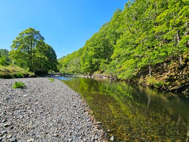 A river with clear water and pebble shore surrounded by trees under a blue sky at Dogwood Timber Lodge in Keswick