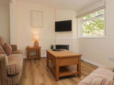 A living room with a coffee table and television at Dogwood Timber Lodge in Keswick