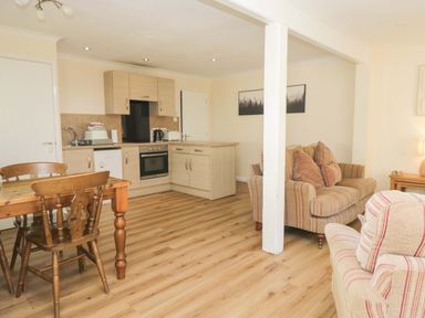 A living room with kitchen and dining area at Dogwood Timber Lodge in Keswick