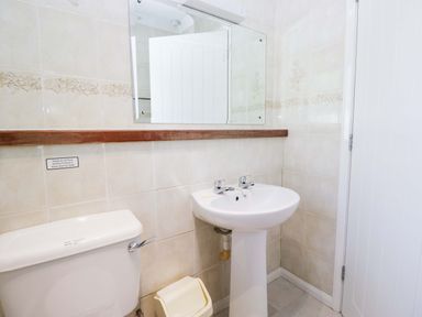 A bathroom with a sink and toilet at Dogwood Timber Lodge in Keswick