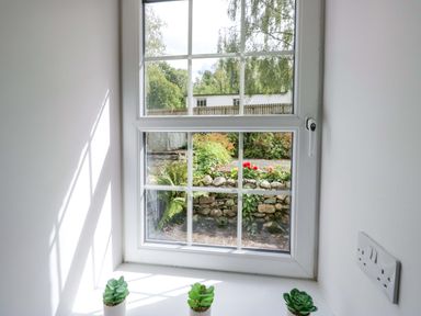 A window with succulents on the sill at Riverside Cottage No 4 in Keswick