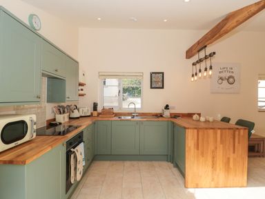 A kitchen with green cabinets wooden countertops a sink under a window and hanging lights at The Nest in North Petherton