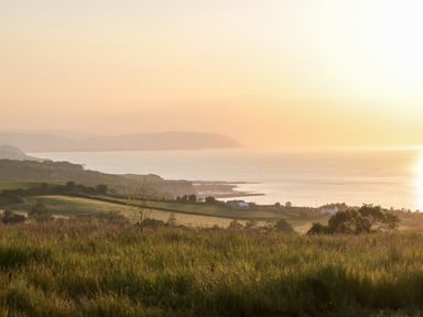 A coastal landscape with grassy fields trees and houses near a calm sea at sunset at The Nest in North Petherton