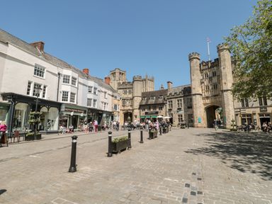 A pedestrian street with shops and people near a large stone gate with towers at The Nest in North Petherton