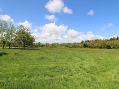 An open grassy field with scattered trees under a blue sky with clouds at The Clove in Poyston Cross near Haverfordwest