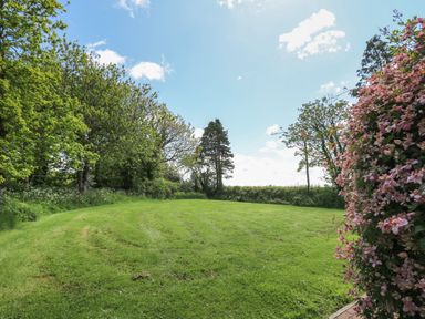 A grassy garden area with trees and flowering bushes at Lavender Lodge in Haverfordwest