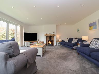 A living room with blue sofas a fireplace and a large TV at Little Chapter in Walberswick