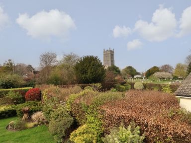 A garden with bushes and trees and a church tower in the background at Little Chapter in Walberswick