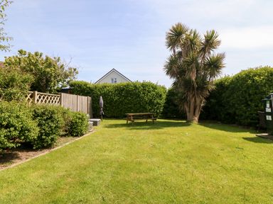 A garden with green grass a wooden bench palm trees and bushes at Jacuma in Rhosneigr