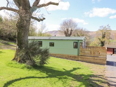 A green mobile home with a wooden deck beside a large tree on a grassy area at Swinside in Lorton