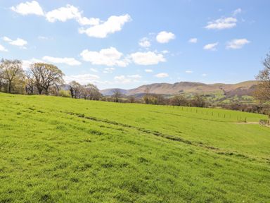 A grassy field with a fence and trees under a blue sky at Swinside in Lorton