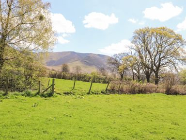 A green field with trees and a wire fence with hills and blue sky in the background at Swinside in Lorton