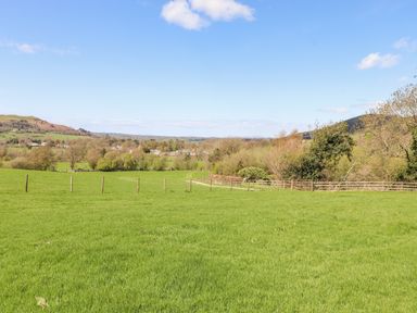 A fenced green field with trees and hills in the distance at Swinside in Lorton