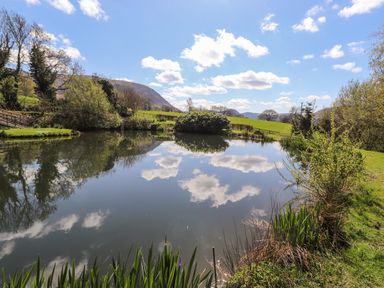 A pond surrounded by grass trees and bushes with hills in the background at Whiteside in Lorton