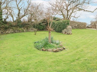 A garden with grass a small tree surrounded by stones and plants a stone wall and a wooden gate at Coach House in Haverfordwest near Broad Haven
