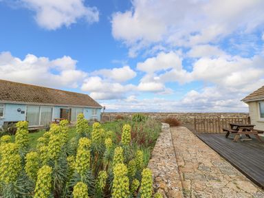 An outdoor area with yellow flowering plants stone pavement wooden deck and picnic tables between two single-story buildings at Little Beach in Seaview