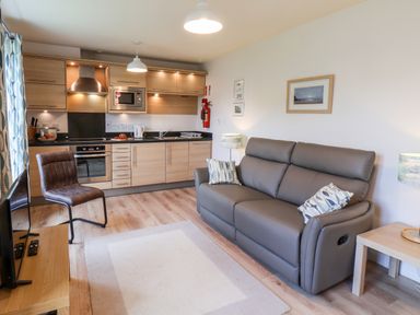 A kitchen and living area with wooden cabinets grey sofa and a chair at Kittiwakes The Bay - Filey