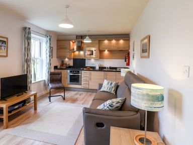 An open plan living room and kitchen with a sofa, armchair, television, wooden cabinets, and kitchen appliances at Kittiwakes in The Bay - Filey
