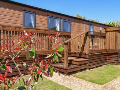 An exterior view of a wooden building with three windows a wooden deck with stairs and a garden with a small plant