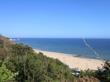 A beach with sand and people near the ocean and trees in the foreground at Chine Heights in Bournemouth