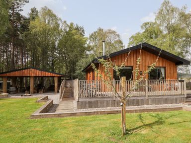 A wooden cabin with a deck and a small tree in front next to a covered outdoor seating area surrounded by trees at Lovat Highland Bothy in Beauly
