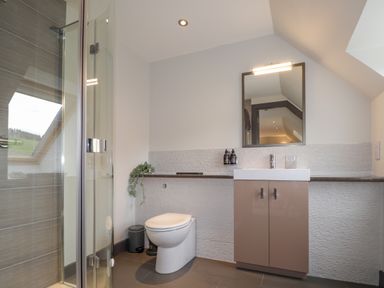A bathroom with a shower enclosure a toilet a sink with a cabinet and a mirror at Ben Luna Lodge in Drumnadrochit Loch Ness