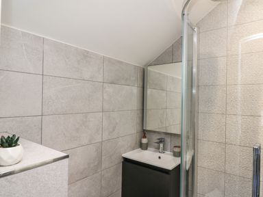A bathroom with a sink cabinet mirror soap dispenser small plant and shower with glass door at Rhiwmynach in Pontarfynach near Aberystwyth