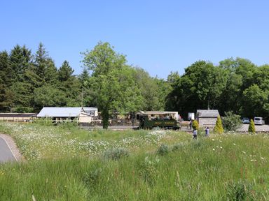 A field with tall grass and flowers with a small train and buildings surrounded by trees at Rhiwmynach in Pontarfynach near Aberystwyth