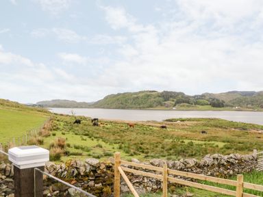 A field with grazing cows near a body of water and hills in the background at Balvicar Beag Balvicar Isle Of Seil