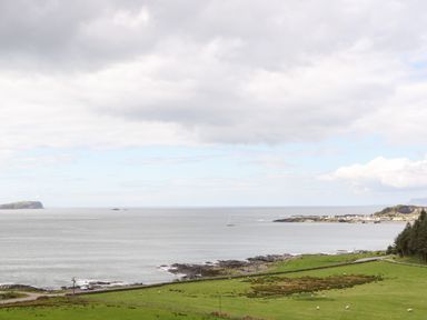 A coastal view with green fields and a few sheep near the sea at Balvicar Beag Balvicar Isle Of Seil