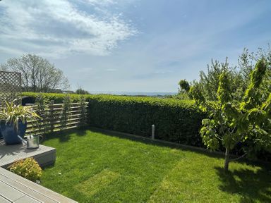 A garden with green grass hedges a tree a watering can and a blue plant pot at Blue Waters in Weymouth