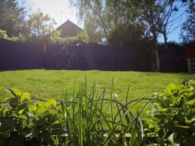 A garden with grass and plants at The Nightingale in Weymouth