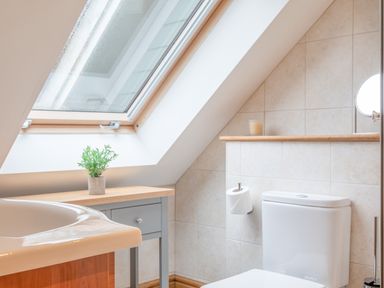 A bathroom with a skylight window a small table with a plant a toilet and a sink at 5 Court Cottage Hillfield Village in Dartmouth