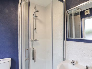 A bathroom with a glass shower enclosure a toilet a sink and a mirror at Handale Banks Farm Lodge in Liverton