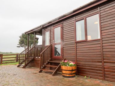 The exterior of a wooden lodge with steps leading to a door and a flower pot on a brick patio at Handale Banks Farm Lodge in Liverton