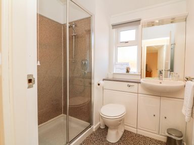 A bathroom with a shower enclosure toilet sink and mirror at Mojo in Mullacott near Ilfracombe