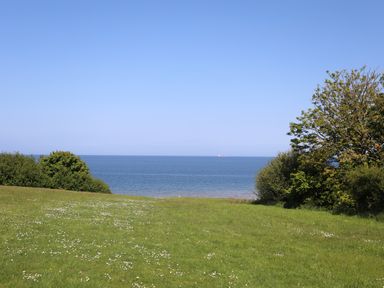 A grassy field with scattered white flowers trees on the sides and a body of water under a clear sky at Traeth Ora in Moelfre