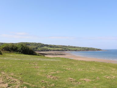A grassy area leading to a sandy beach with rocky edges and trees in the background at Traeth Ora in Moelfre