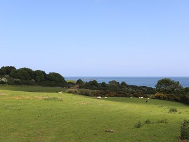 A green field with sheep grazing and trees near the sea at Traeth Ora in Moelfre