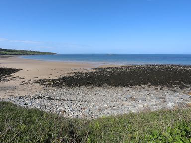 A beach with sand rocks and sea with vegetation in the foreground at Traeth Ora in Moelfre