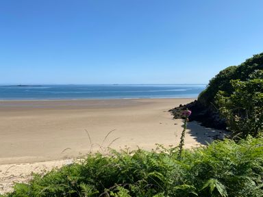 A sandy beach with water and several ships on the horizon with green plants and rocks on the shoreline at Traeth Ora in Moelfre