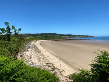 A sandy beach with seaweed along the shore and green vegetation on the sides at Traeth Ora in Moelfre