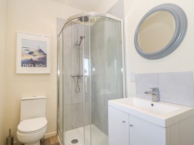 A bathroom with a toilet shower with glass doors sink with faucet and a round mirror at Wig Carna in Holyhead