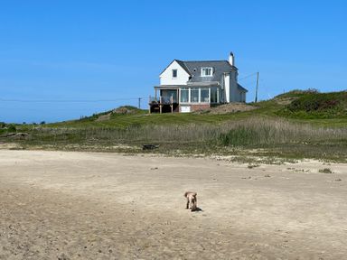 A house on a grassy hill with a dog walking on a sandy beach in front at Wig Carna in Holyhead