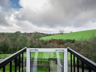 A balcony with black railings overlooking a green field and trees under a cloudy sky at Fern Cottage in Muddiford near West Down