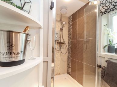 A shower area with a glass door a champagne bucket with a bottle and a glass on a white shelf and a window with potted plants and towels at Inny Brook Cottage in Davidstow near Camelford