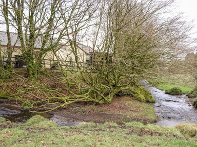 A small creek flowing through grassy land with leafless trees and a building in the background at Inny Brook Cottage Davidstow near Camelford