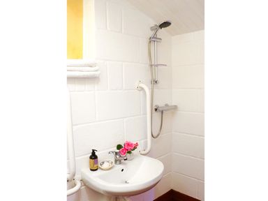 A bathroom corner with a white sink with a faucet soap dispenser and pink flowers next to a wall-mounted shower with a handheld showerhead and white safety grab bars